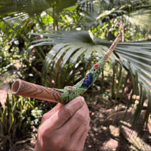 Tepi Kuntanawa de Bambu Verde com Jagube, Mulugu e Colar de Nissanga