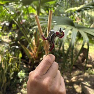 Kuripe de Bambu com Totem de Galo Campina – Artesanal Kuntanawa
