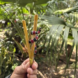 Kuripe de Bambu com Totem de Cobra Coral – Artesanal Kuntanawa